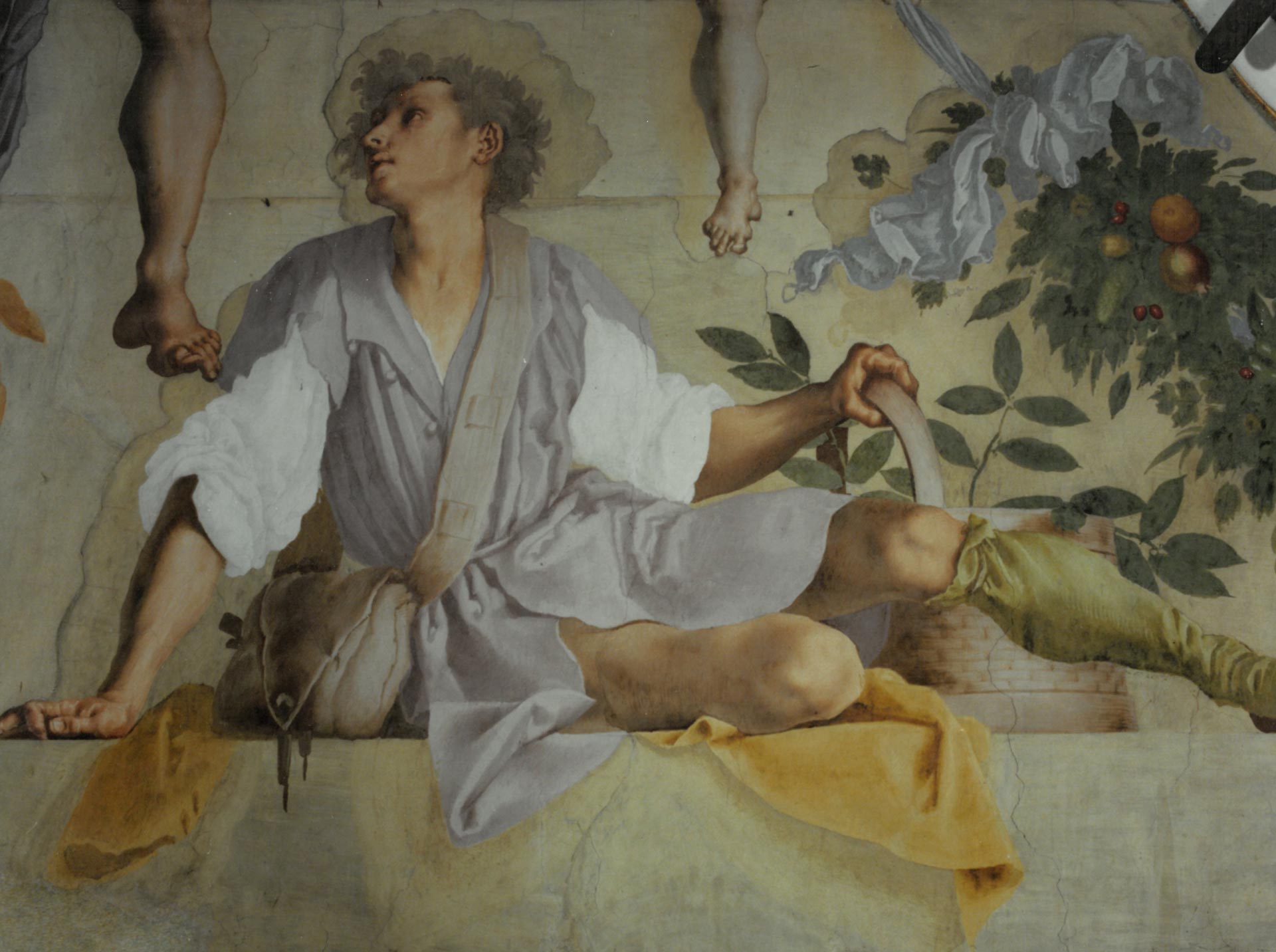 Sala Leone X, Villa Medicea di Poggio a Caiano