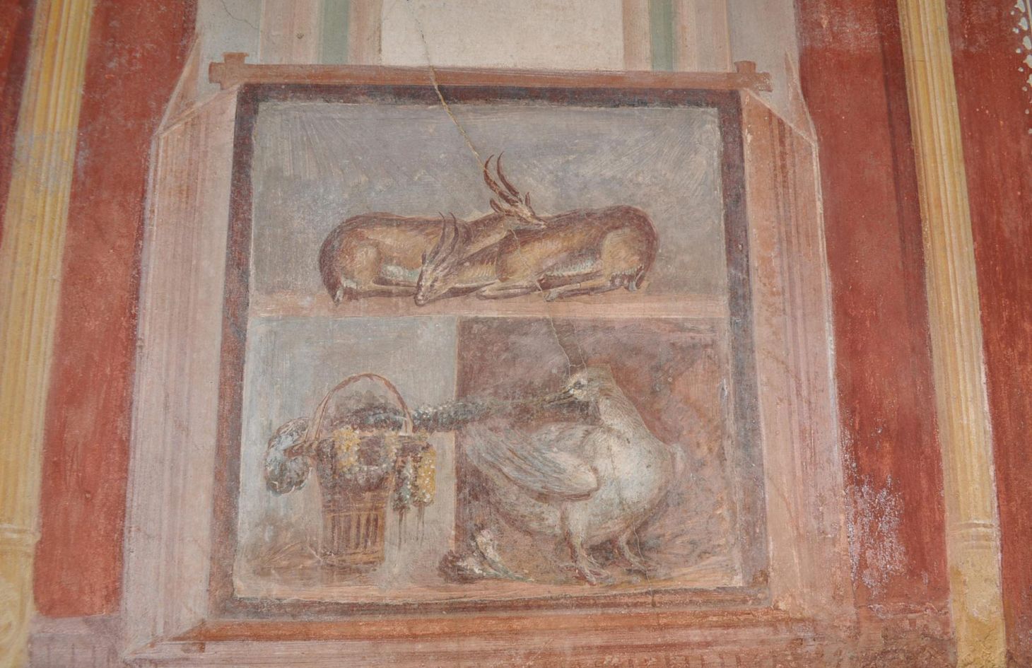 Parco archeologico di Pompei Casa dei Dioscuri