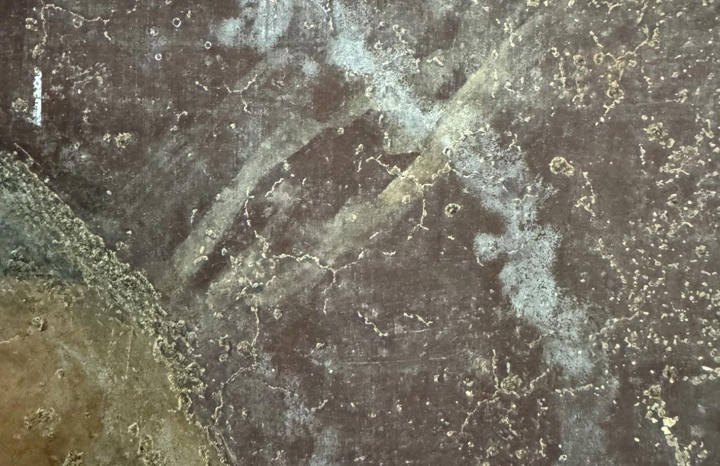 Refettorio Grande, Museo San Marco